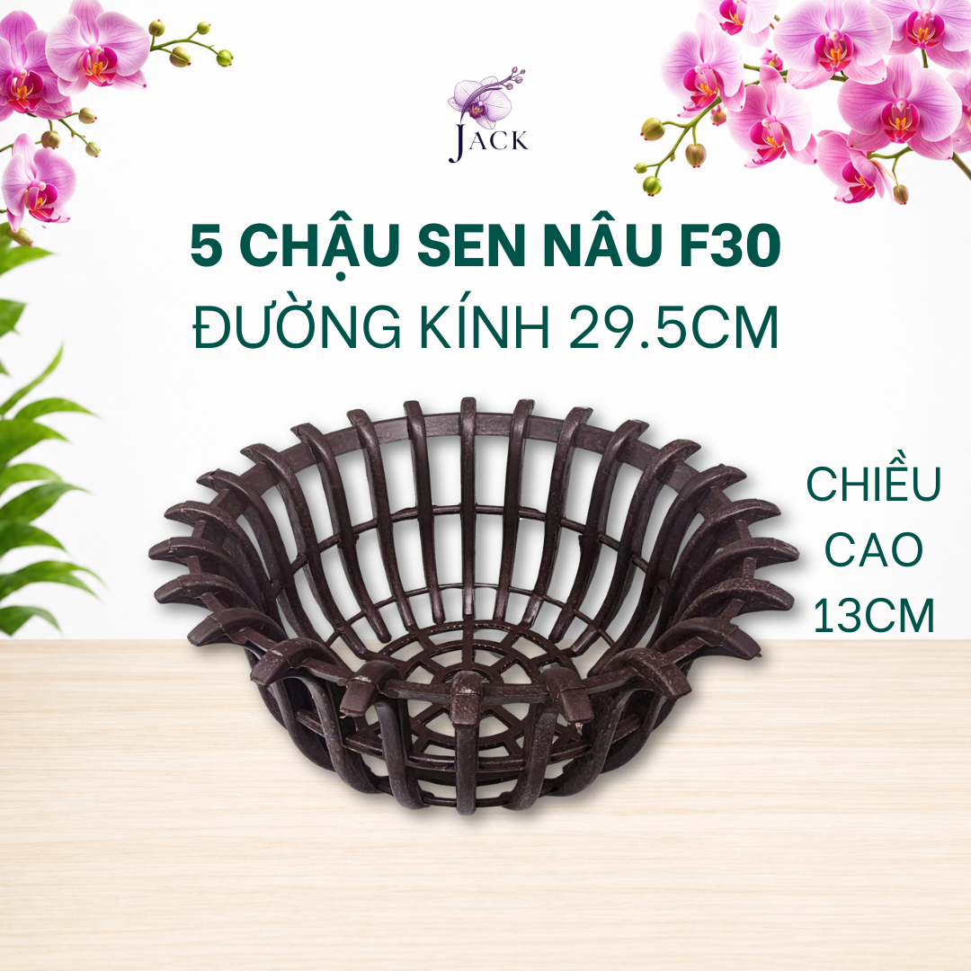  Chậu Nhựa Trồng Lan Hình Hoa Sen Jack - Nan Dày, Kèm Móc 
