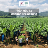  Phân bón hữu cơ dịch chuối humic Docneem 