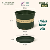  Chậu nhựa trồng cây MONROVIA Size Nhỏ 