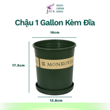  Chậu nhựa trồng cây MONROVIA Size Nhỏ 