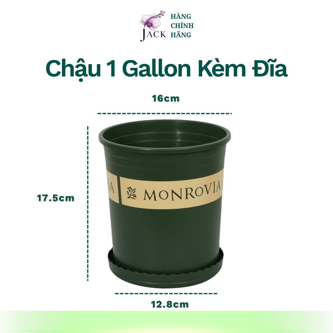  Chậu nhựa trồng cây MONROVIA Size Nhỏ 