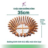  Chậu Gỗ Hình Quả Bí và Hoa Sen Tuyệt Đẹp Trồng Lan, Cây Cảnh 