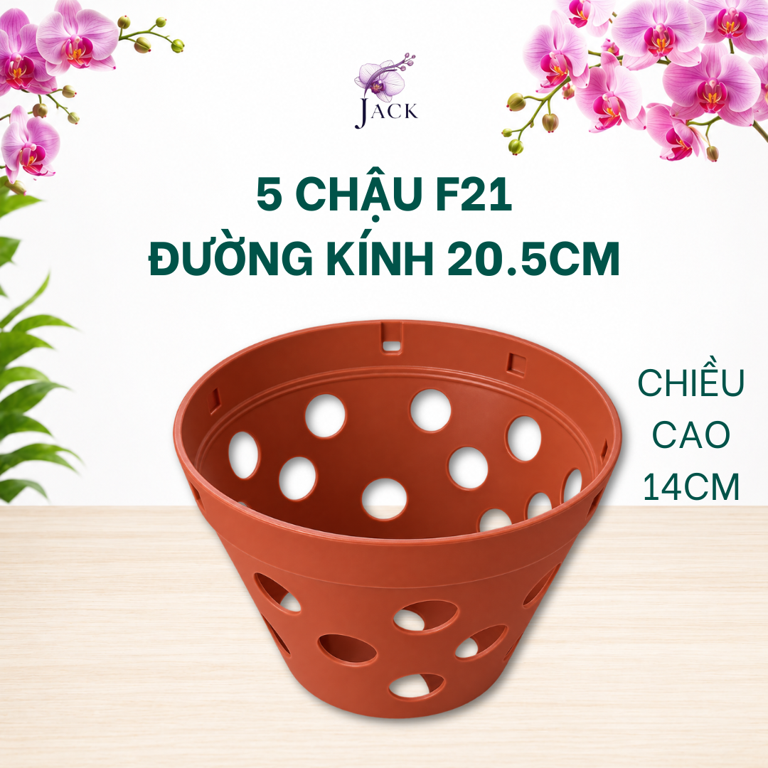  Chậu Nhựa Trồng Lan Màu Đất Nung — Bền, Đẹp, Nhẹ, Thoáng Khí — Tặng Kèm Móc Treo 