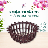  Chậu Nhựa Trồng Lan Hình Hoa Sen Jack - Nan Dày, Kèm Móc 