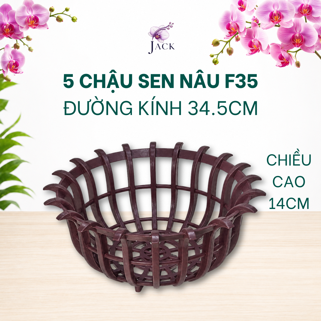  Chậu Nhựa Trồng Lan Hình Hoa Sen Jack - Nan Dày, Kèm Móc 