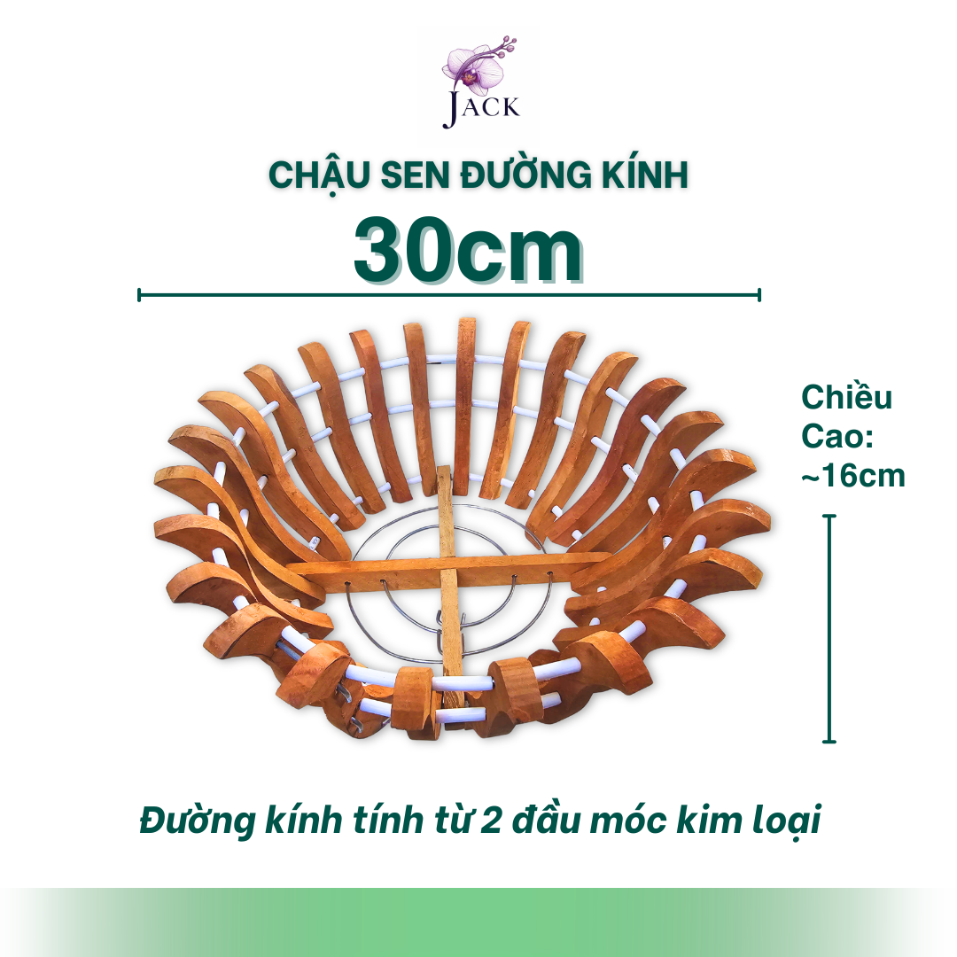  Chậu Gỗ Hình Quả Bí và Hoa Sen Tuyệt Đẹp Trồng Lan, Cây Cảnh 