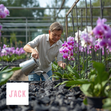  Giá thể Than trồng lan Jack đã qua xử lý – Hạn chế nấm bệnh 