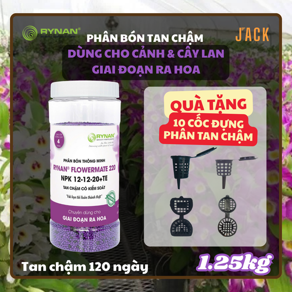 Phân bón tan chậm kích hoa và dưỡng hoa RYNAN 12-12-20 1,25kg 