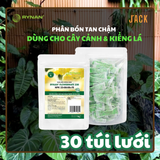  30 túi lưới phân bón tan chậm cây Cảnh RYNAN 23-08-08 (90g) 