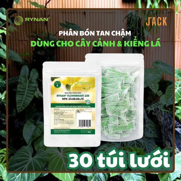  30 túi lưới phân bón tan chậm cây Cảnh RYNAN 23-08-08 (90g) 