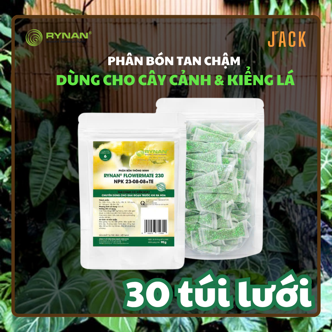  30 túi lưới phân bón tan chậm cây Cảnh RYNAN 23-08-08 (90g) 