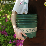  Chậu nhựa trồng cây MONROVIA Size Nhỏ 