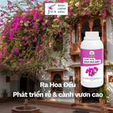  Phân bón kích hoa giấy DOCNEEM – Siết đọt, bật nụ nhanh, hoa dày màu đậm 