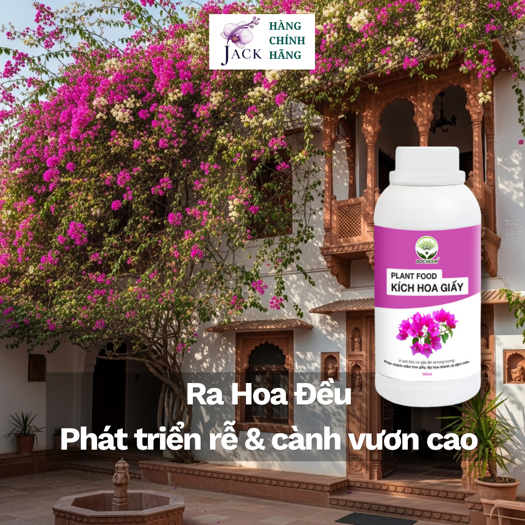  Phân bón kích hoa giấy DOCNEEM – Siết đọt, bật nụ nhanh, hoa dày màu đậm 
