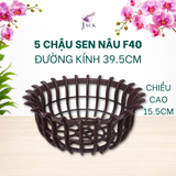  Chậu Nhựa Trồng Lan Hình Hoa Sen Jack - Nan Dày, Kèm Móc 
