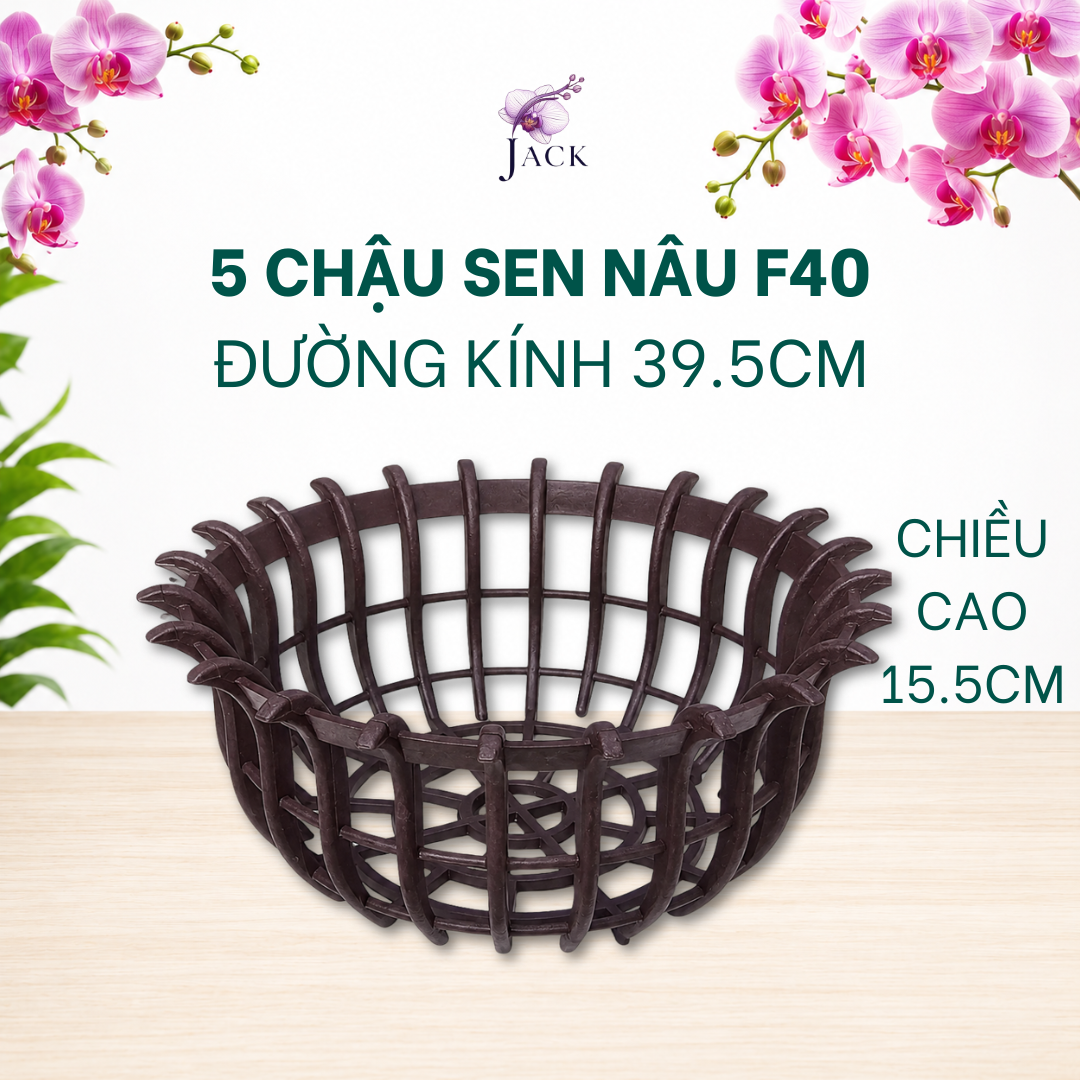  Chậu Nhựa Trồng Lan Hình Hoa Sen Jack - Nan Dày, Kèm Móc 