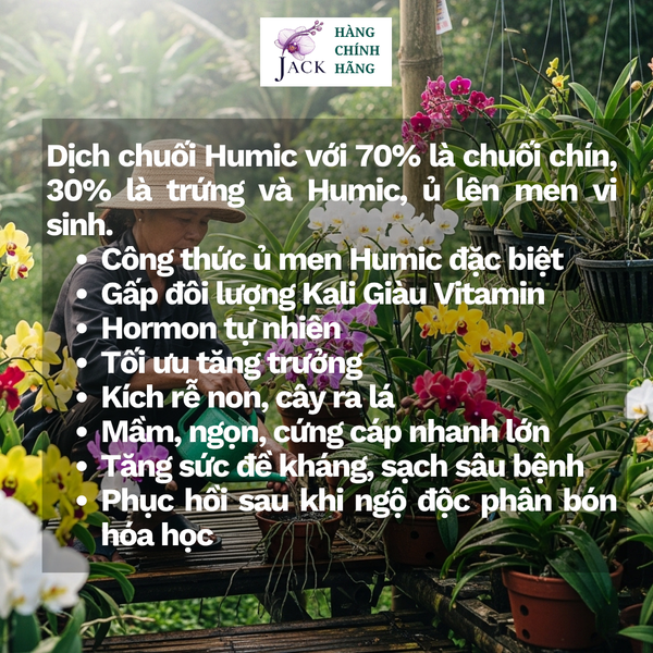  Phân bón hữu cơ dịch chuối humic Docneem 