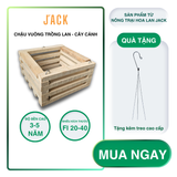  Chậu gỗ vuông trồng lan & cây cảnh cao cấp Jack kèm móc treo 