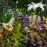  Phân bón cho lan và cây cảnh phát triển Grow More 30-10-10 