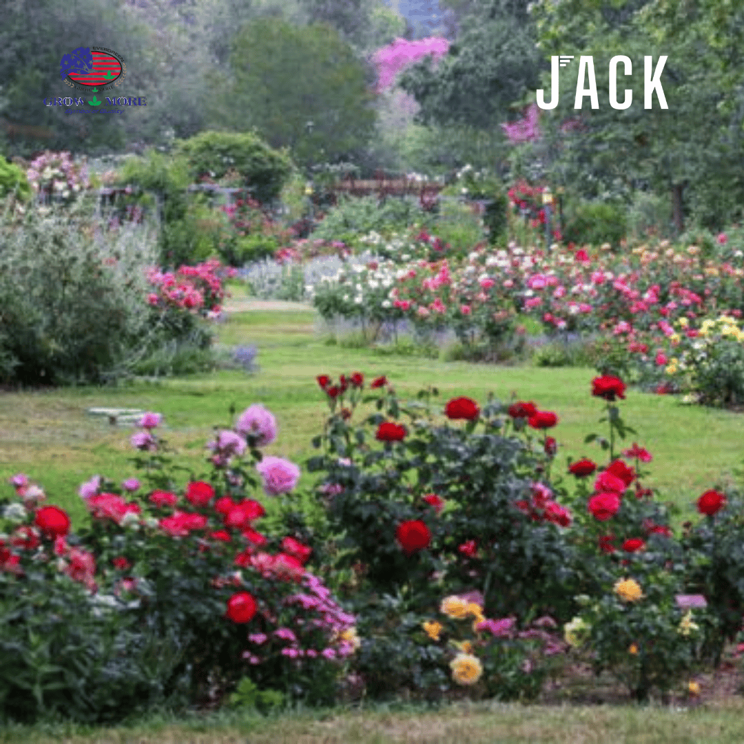  Thùng 100 Chai Phân bón Grow more 30-10-10 100g Nhập Khẩu Mỹ 