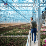  Phân bón cho lan và cây cảnh phát triển Grow More 30-10-10 