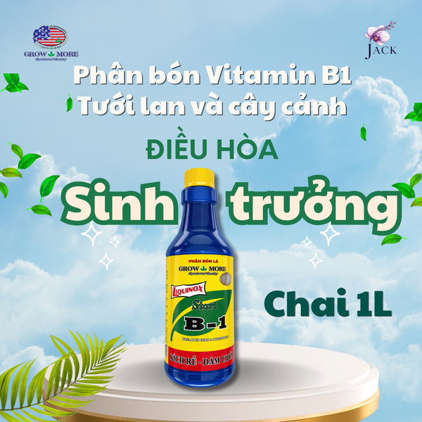  Chai 1L phân bón lá đa vi lượng Vitamin B1 Grow More Mỹ - Kích Rễ Đâm Chòi Cho Cây Lan 