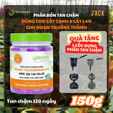  Bộ 3 chai phân bón Tan chậm Rynan - Dùng cho hoa lan, cây cảnh 