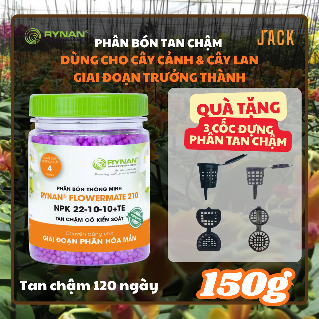  Bộ 3 chai phân bón Tan chậm Rynan - Dùng cho hoa lan, cây cảnh 