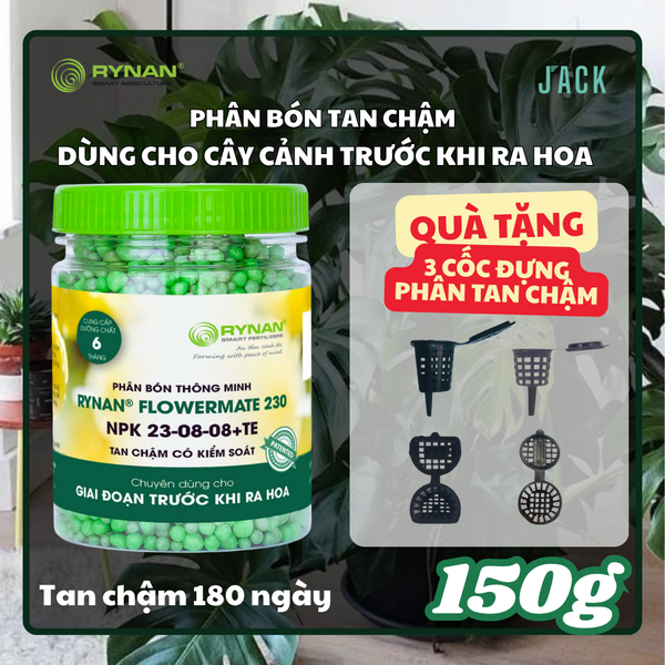  Phân bón tan chậm cây cảnh RYNAN 23-08-08 dưỡng lá chồi 150g 