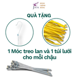  Combo 5 Chậu Nhựa Trồng Lan Hình Quả Bí — 5 Kích Thước, 2 Màu, Bền Nhẹ 