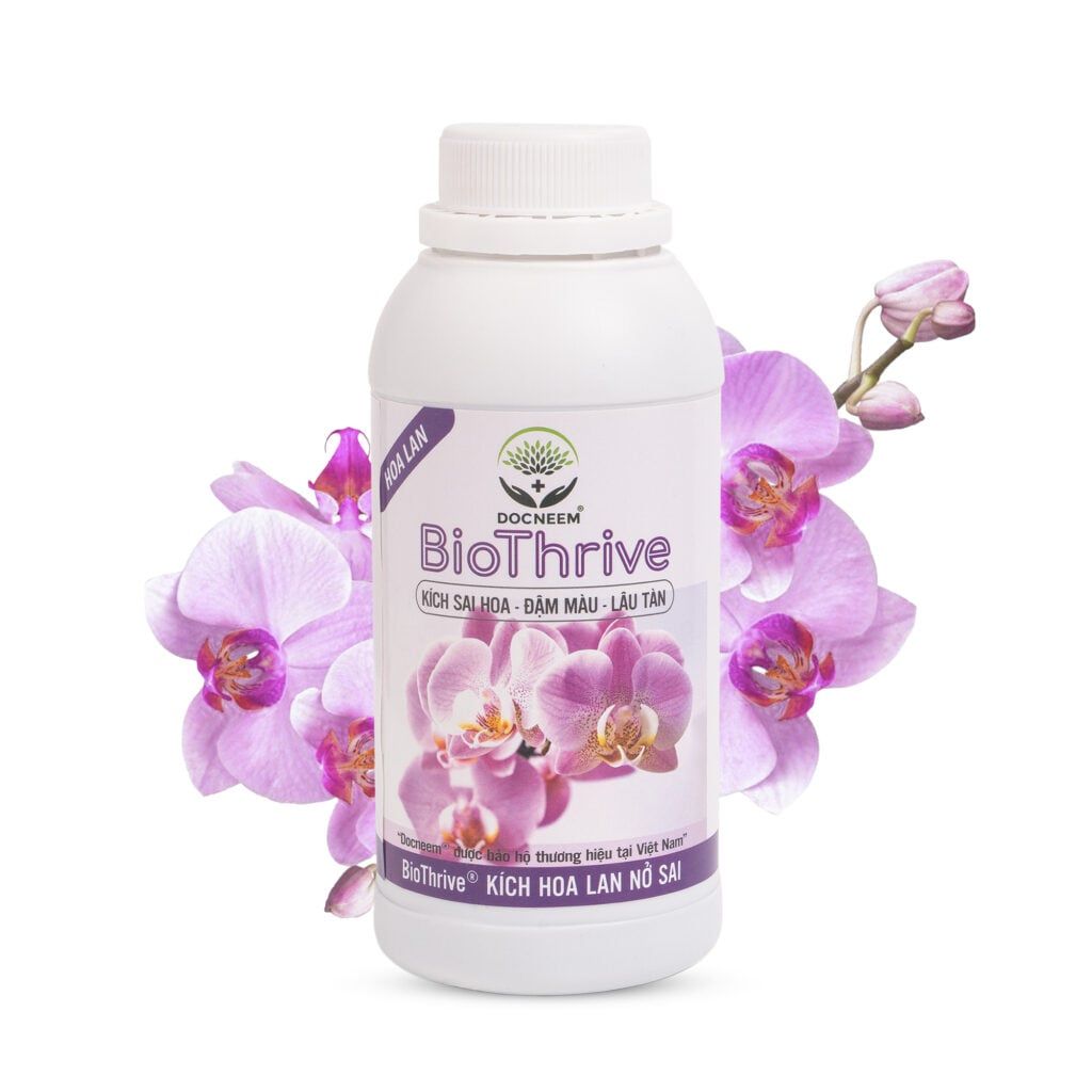  Phân bón kích hoa Lan Biothrive DOCNEEM – Ra nụ mạnh, hoa dày, màu sắc rực rõ Bình 500ml 