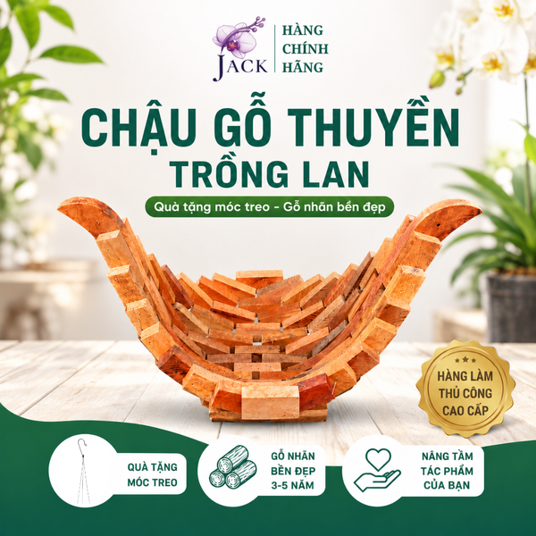  Chậu gỗ thuyền trồng lan và cây cảnh Jack thiết kế cao cấp 