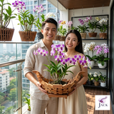  Chậu gỗ thuyền trồng lan và cây cảnh Jack thiết kế cao cấp 