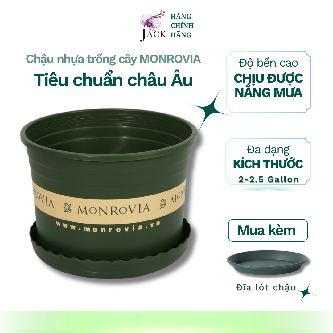 Chậu nhựa trồng cây MONROVIA Size Nhỏ 