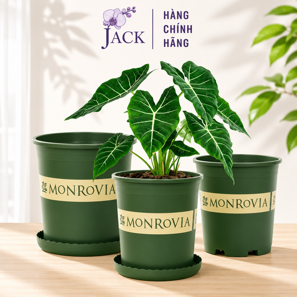  Chậu nhựa trồng cây MONROVIA Size Lớn – Chuẩn Châu Âu, bền đẹp, đa năng để ban công & sân vườn 