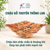  Chậu gỗ thuyền trồng lan và cây cảnh Jack thiết kế cao cấp 