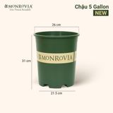  Chậu nhựa trồng cây MONROVIA Size Lớn – Chuẩn Châu Âu, bền đẹp, đa năng để ban công & sân vườn 