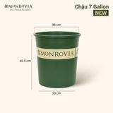  Chậu nhựa trồng cây MONROVIA Size Lớn – Chuẩn Châu Âu, bền đẹp, đa năng để ban công & sân vườn 