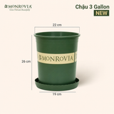  Chậu nhựa trồng cây MONROVIA Size Lớn – Chuẩn Châu Âu, bền đẹp, đa năng để ban công & sân vườn 