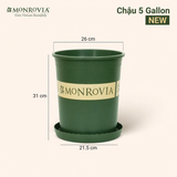  Chậu nhựa trồng cây MONROVIA Size Lớn – Chuẩn Châu Âu, bền đẹp, đa năng để ban công & sân vườn 