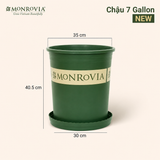  Chậu nhựa trồng cây MONROVIA Size Lớn – Chuẩn Châu Âu, bền đẹp, đa năng để ban công & sân vườn 