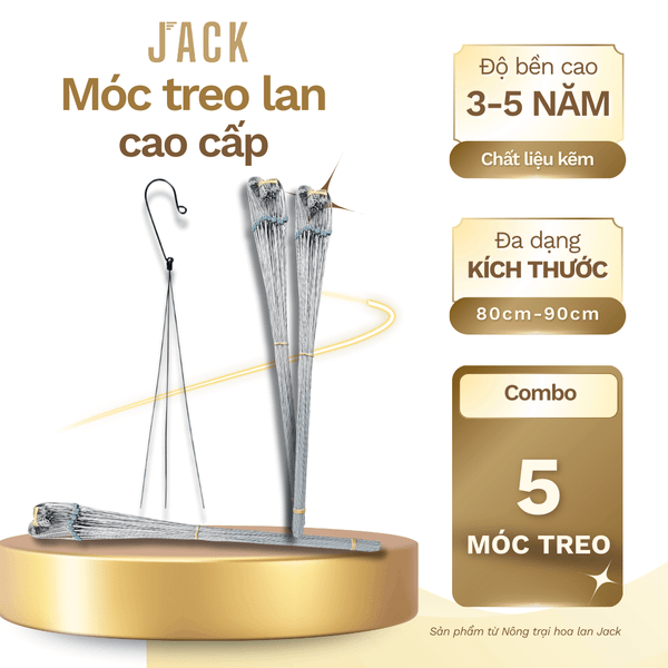  Móc kẽm treo lan Jack cao cấp - Chắc chắn và bền đẹp 