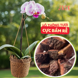  Giá thể Vỏ thông tươi trồng lan Jack đã qua xử lý 