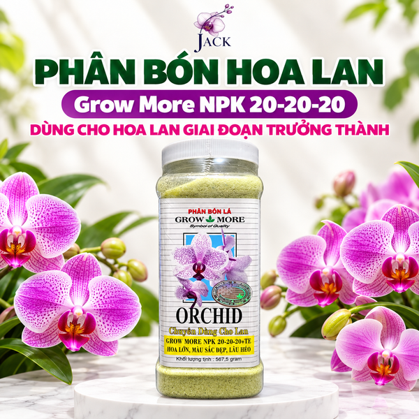  Phân Bón Grow More Orchid NPK 20-20-20 Cho Lan - Cho Lan Giai Đoạn Trưởng Thành, Hũ 567.5g 