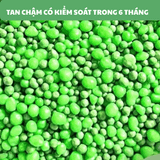  Phân bón tan chậm cây cảnh RYNAN 23-08-08 dưỡng lá và chồi Lọ 1.25kg 