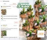  Chậu Gỗ Hình Quả Bí và Hoa Sen Tuyệt Đẹp Trồng Lan, Cây Cảnh 