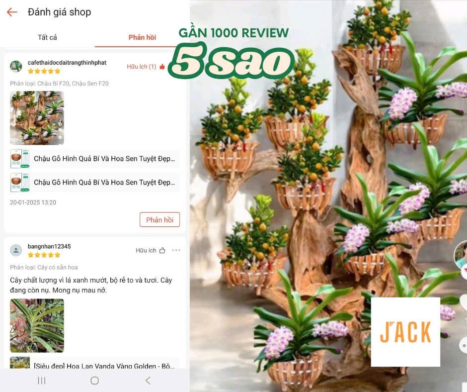 Chậu Gỗ Trồng Lan Nan Tăng Cường Hình Quả Bí và Hoa Sen - Chất Liệu Gỗ Nhãn 