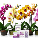  Bộ 3 chai phân bón Tan chậm Rynan - Dùng cho hoa lan, cây cảnh 