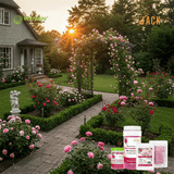  Phân bón tan chậm ra hoa cho kiểng hoa, hoa hồng RYNAN 150g 