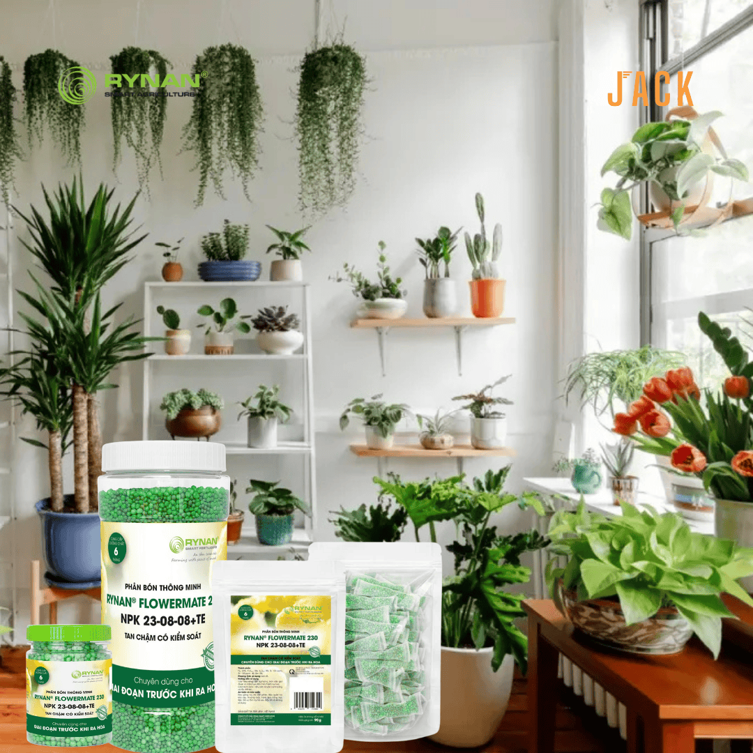  30 túi lưới phân bón tan chậm cây Cảnh RYNAN 23-08-08 (90g) 